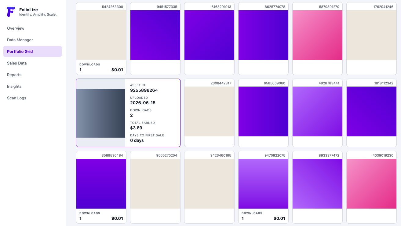 FolioLize Portfolio Grid